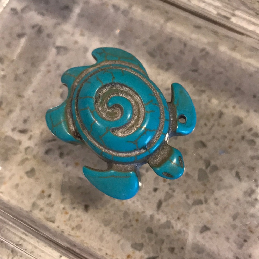 Turquoise Turtle